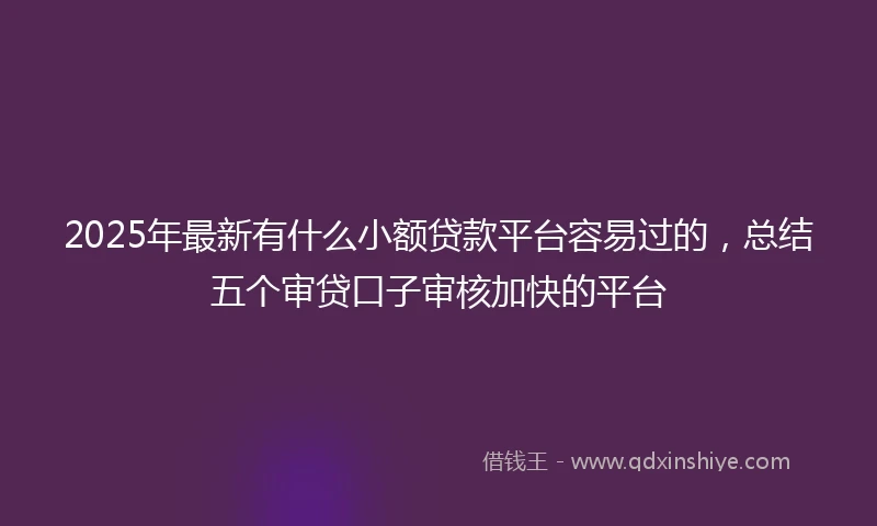 2025年最新有什么小额贷款平台容易过的，总结五个审贷口子审核加快的平台