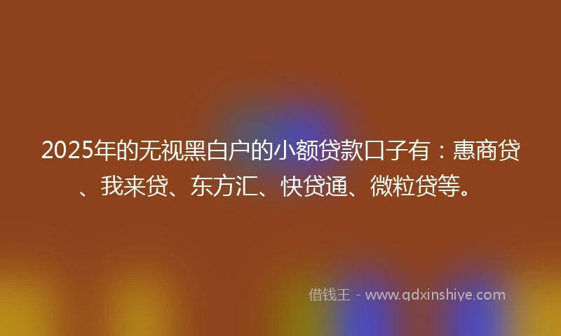 2025年的无视黑白户的小额贷款口子有：惠商贷、我来贷、东方汇、快贷通、微粒贷等。