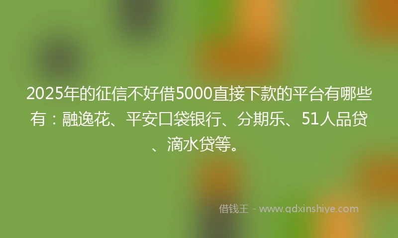2025年的征信不好借5000直接下款的平台有哪些有：融逸花、平安口袋银行、分期乐、51人品贷、滴水贷等。