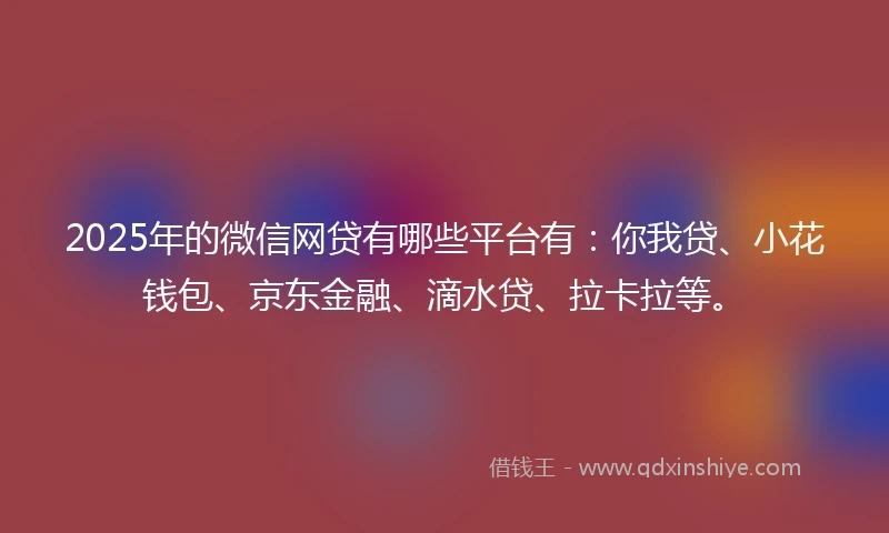 2025年的微信网贷有哪些平台有：你我贷、小花钱包、京东金融、滴水贷、拉卡拉等。