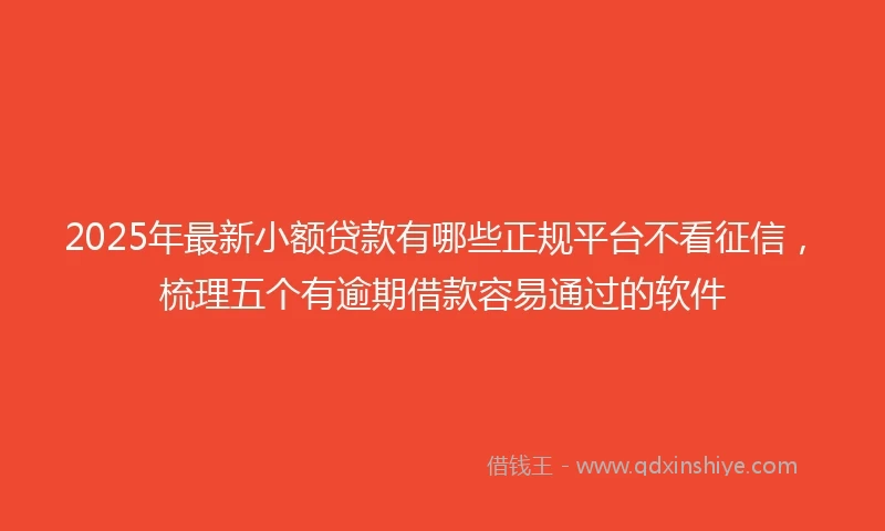 2025年最新小额贷款有哪些正规平台不看征信，梳理五个有逾期借款容易通过的软件