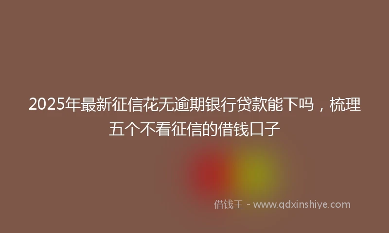 2025年最新征信花无逾期银行贷款能下吗，梳理五个不看征信的借钱口子