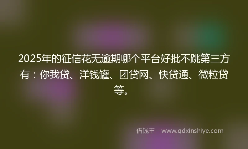 2025年的征信花无逾期哪个平台好批不跳第三方有：你我贷、洋钱罐、团贷网、快贷通、微粒贷等。
