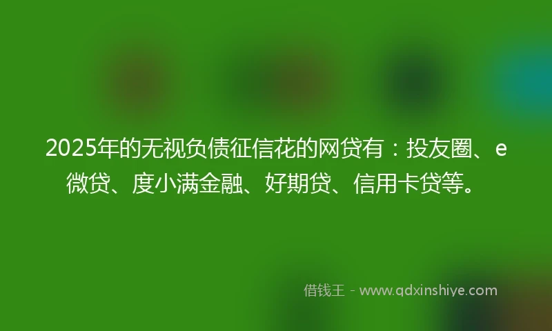 2025年的无视负债征信花的网贷有：投友圈、e微贷、度小满金融、好期贷、信用卡贷等。