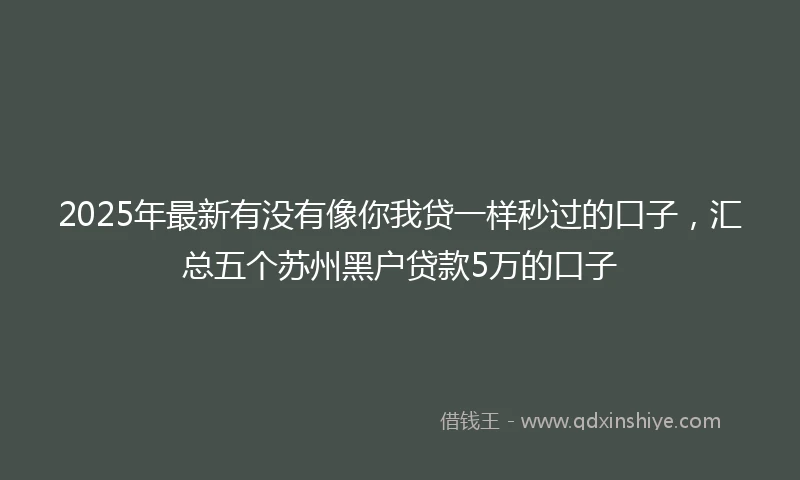 2025年最新有没有像你我贷一样秒过的口子，汇总五个苏州黑户贷款5万的口子