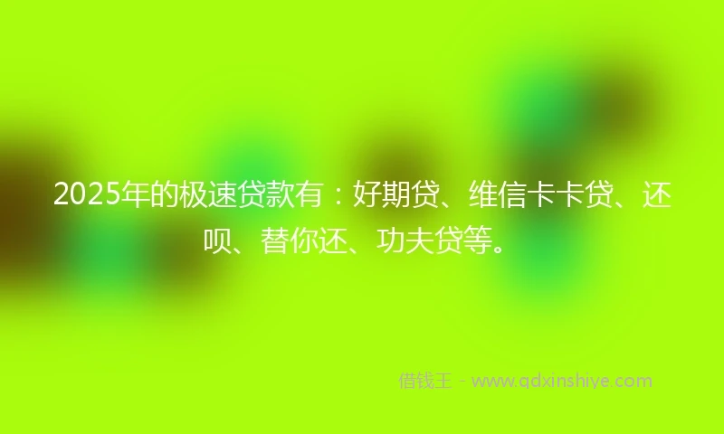 2025年的极速贷款有：好期贷、维信卡卡贷、还呗、替你还、功夫贷等。