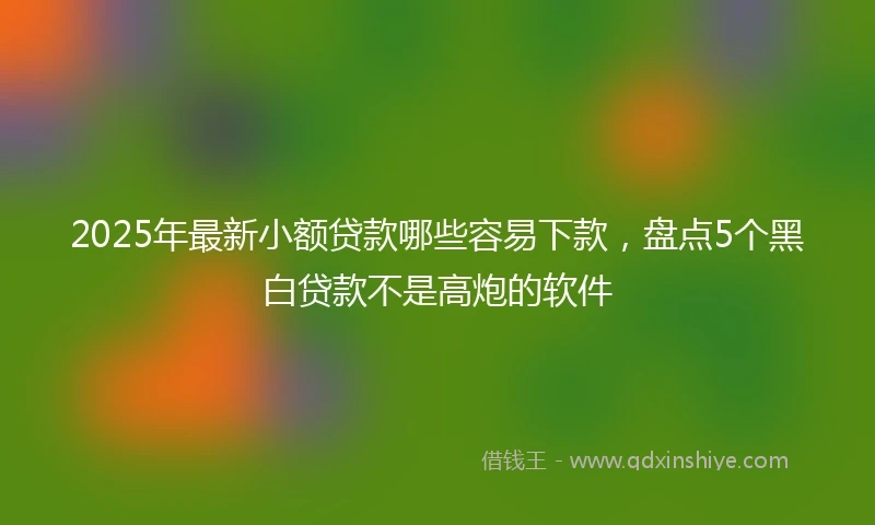 2025年最新小额贷款哪些容易下款，盘点5个黑白贷款不是高炮的软件