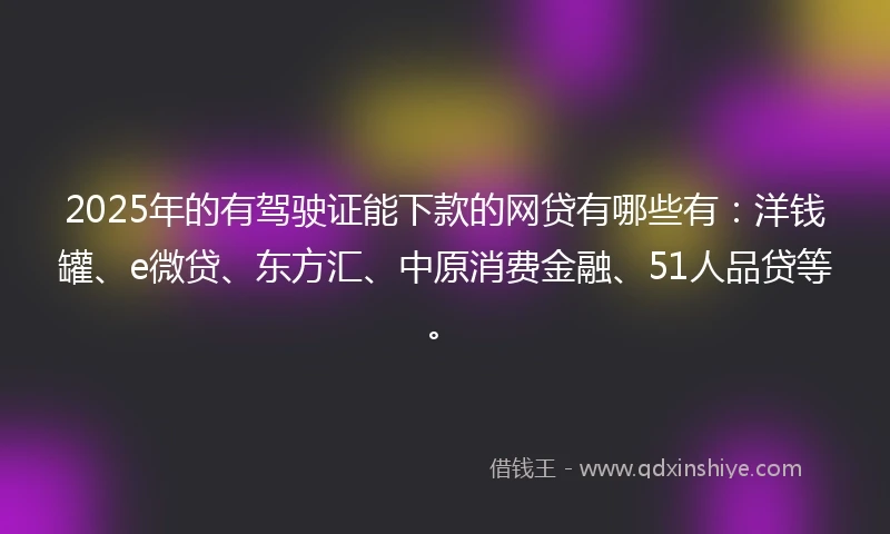 2025年的有驾驶证能下款的网贷有哪些有：洋钱罐、e微贷、东方汇、中原消费金融、51人品贷等。