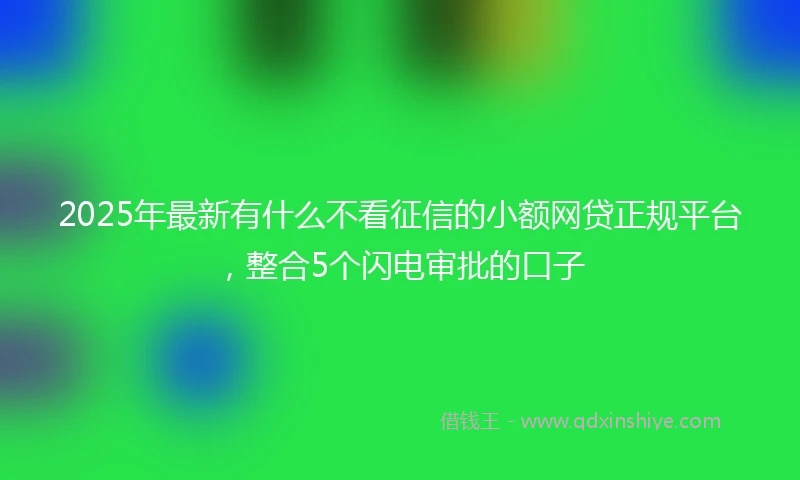 2025年最新有什么不看征信的小额网贷正规平台，整合5个闪电审批的口子
