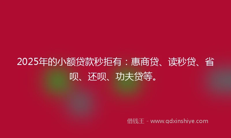 2025年的小额贷款秒拒有：惠商贷、读秒贷、省呗、还呗、功夫贷等。