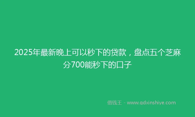 2025年最新晚上可以秒下的贷款，盘点五个芝麻分700能秒下的口子