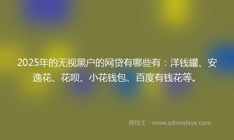 2025年的无视黑户的网贷有哪些有：洋钱罐、安逸花、花呗、小花钱包、百度有钱花等。