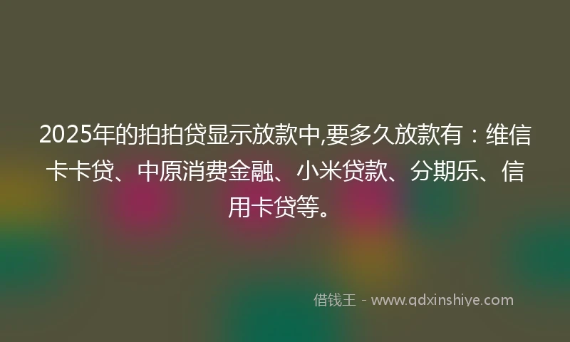 2025年的拍拍贷显示放款中,要多久放款有：维信卡卡贷、中原消费金融、小米贷款、分期乐、信用卡贷等。