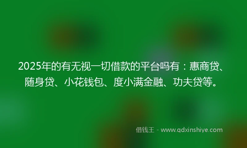 2025年的有无视一切借款的平台吗有：惠商贷、随身贷、小花钱包、度小满金融、功夫贷等。