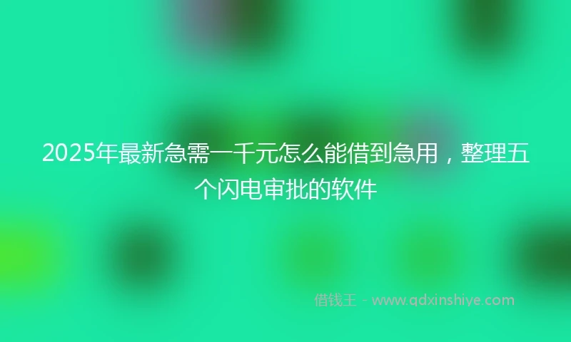 2025年最新急需一千元怎么能借到急用，整理五个闪电审批的软件