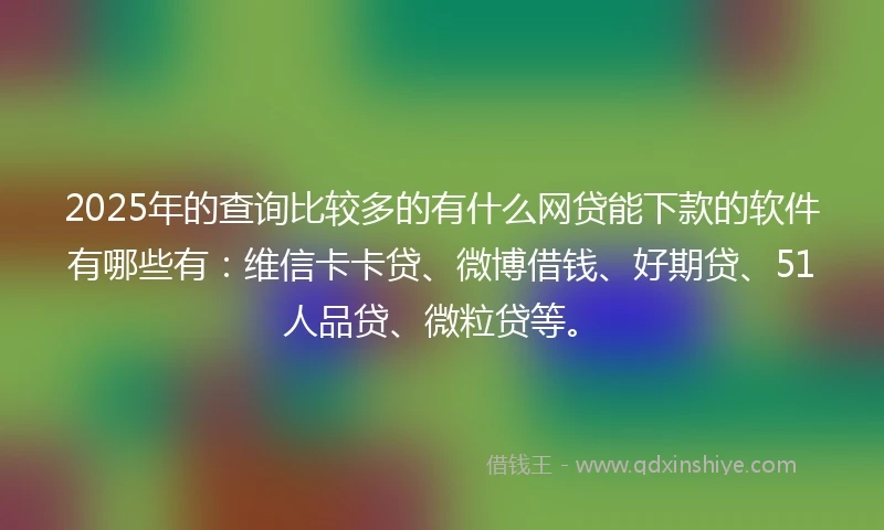 2025年的查询比较多的有什么网贷能下款的软件有哪些有：维信卡卡贷、微博借钱、好期贷、51人品贷、微粒贷等。
