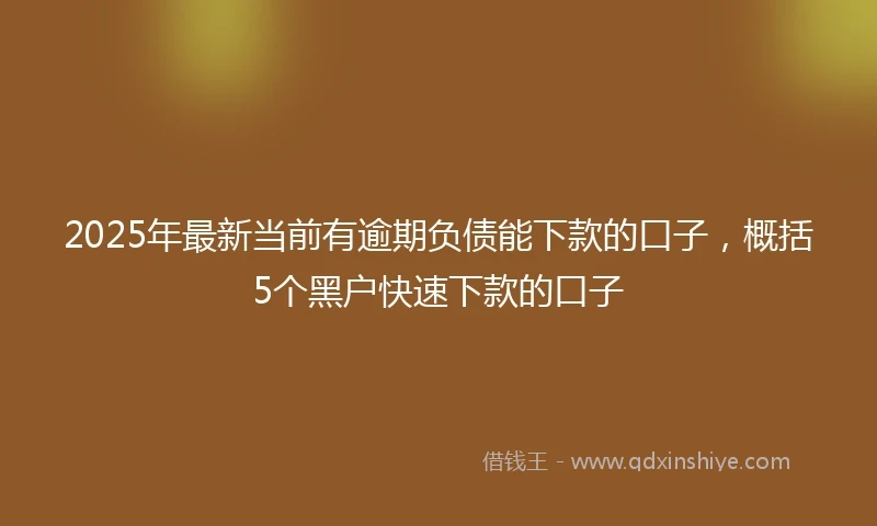 2025年最新当前有逾期负债能下款的口子，概括5个黑户快速下款的口子
