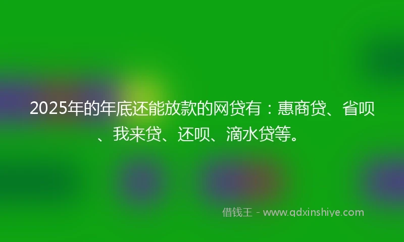 2025年的年底还能放款的网贷有：惠商贷、省呗、我来贷、还呗、滴水贷等。
