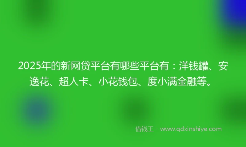 2025年的新网贷平台有哪些平台有：洋钱罐、安逸花、超人卡、小花钱包、度小满金融等。