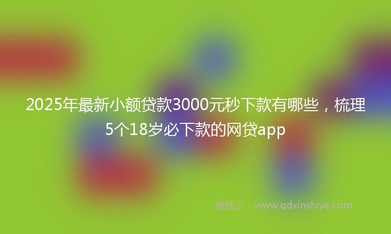 2025年最新小额贷款3000元秒下款有哪些，梳理5个18岁必下款的网贷app