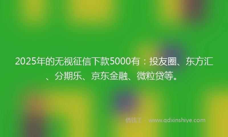 2025年的无视征信下款5000有：投友圈、东方汇、分期乐、京东金融、微粒贷等。