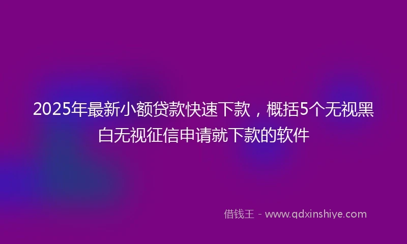 2025年最新小额贷款快速下款，概括5个无视黑白无视征信申请就下款的软件