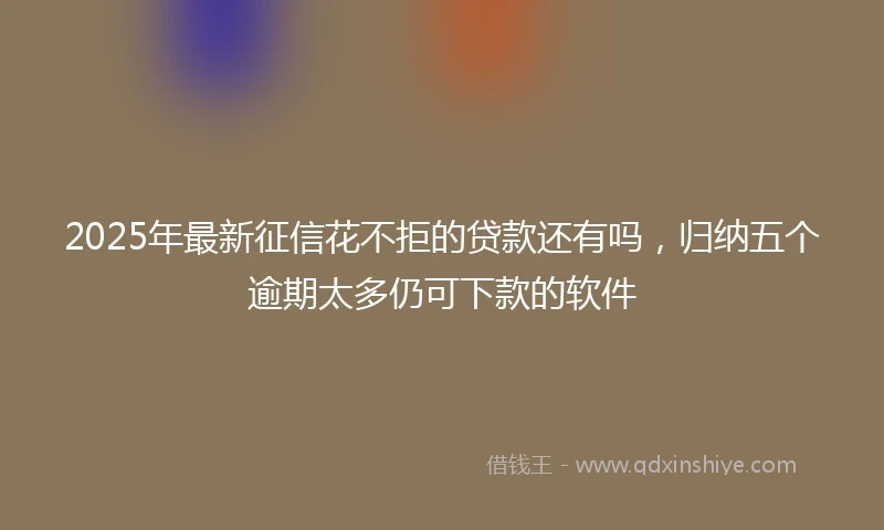 2025年最新征信花不拒的贷款还有吗，归纳五个逾期太多仍可下款的软件