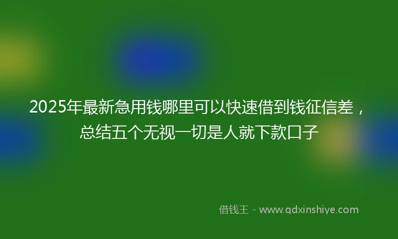 2025年最新急用钱哪里可以快速借到钱征信差，总结五个无视一切是人就下款口子