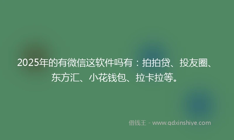 2025年的有微信这软件吗有：拍拍贷、投友圈、东方汇、小花钱包、拉卡拉等。