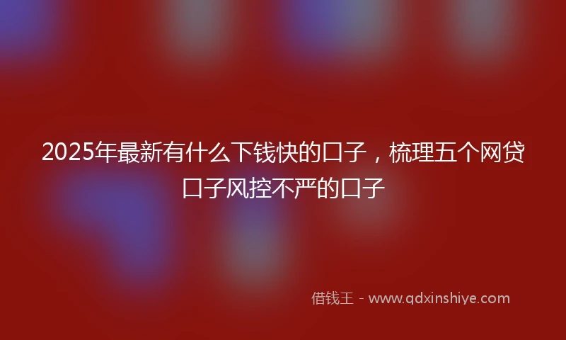 2025年最新有什么下钱快的口子，梳理五个网贷口子风控不严的口子