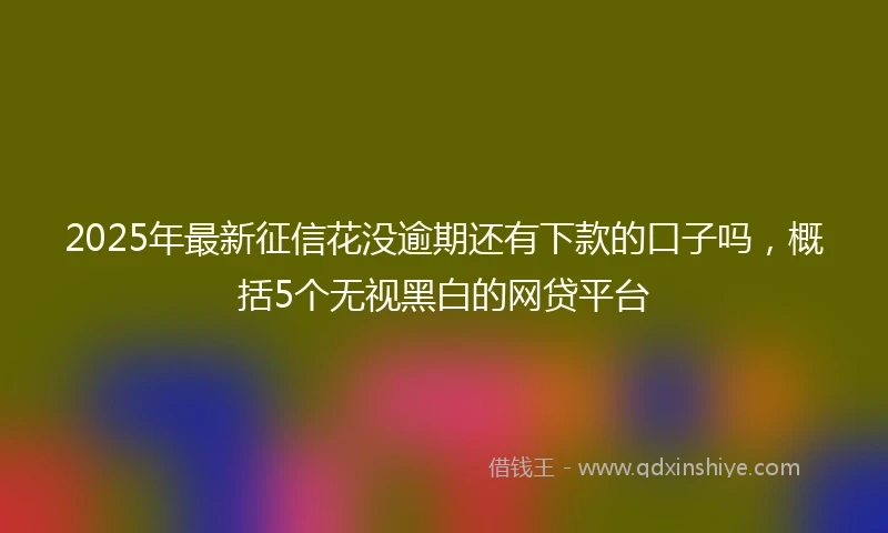 2025年最新征信花没逾期还有下款的口子吗，概括5个无视黑白的网贷平台