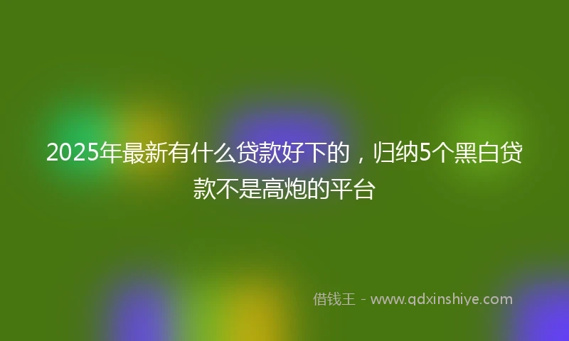 2025年最新有什么贷款好下的，归纳5个黑白贷款不是高炮的平台