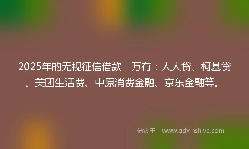 2025年的无视征信借款一万有：人人贷、柯基贷、美团生活费、中原消费金融、京东金融等。