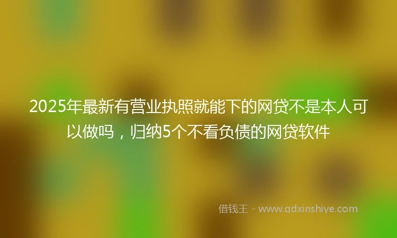 2025年最新有营业执照就能下的网贷不是本人可以做吗，归纳5个不看负债的网贷软件