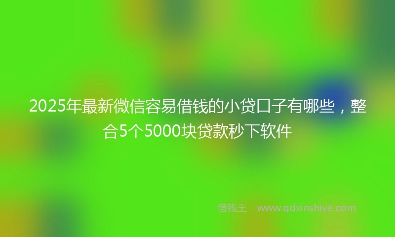 2025年最新微信容易借钱的小贷口子有哪些，整合5个5000块贷款秒下软件