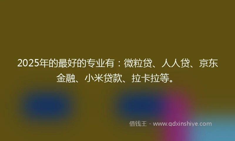 2025年的最好的专业有：微粒贷、人人贷、京东金融、小米贷款、拉卡拉等。