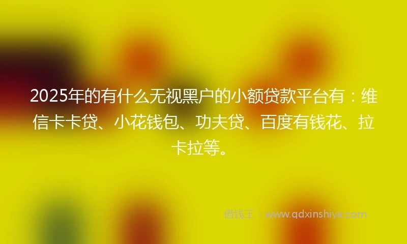 2025年的有什么无视黑户的小额贷款平台有：维信卡卡贷、小花钱包、功夫贷、百度有钱花、拉卡拉等。