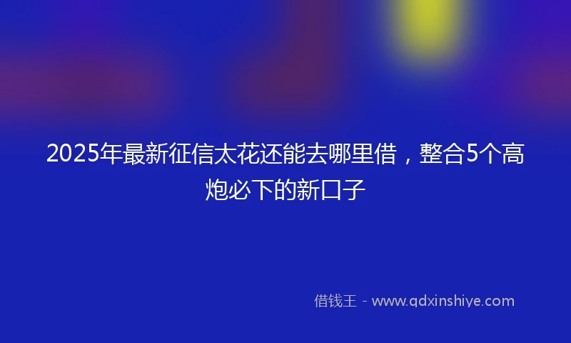 2025年最新征信太花还能去哪里借，整合5个高炮必下的新口子