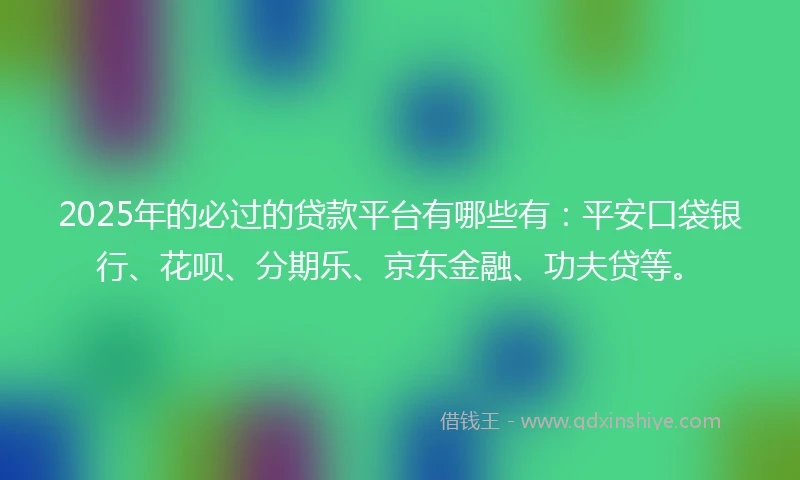 2025年的必过的贷款平台有哪些有：平安口袋银行、花呗、分期乐、京东金融、功夫贷等。