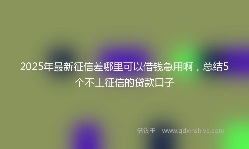 2025年最新征信差哪里可以借钱急用啊，总结5个不上征信的贷款口子