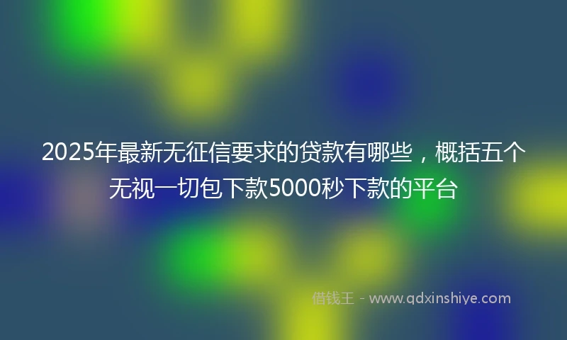 2025年最新无征信要求的贷款有哪些，概括五个无视一切包下款5000秒下款的平台