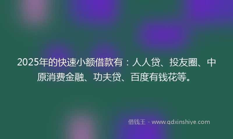 2025年的快速小额借款有：人人贷、投友圈、中原消费金融、功夫贷、百度有钱花等。