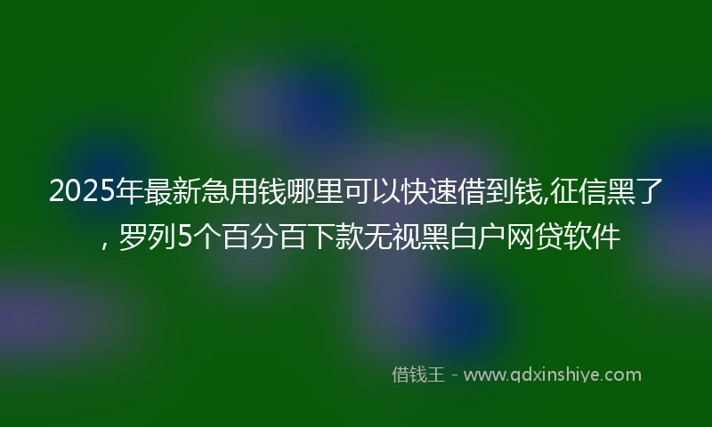 2025年最新急用钱哪里可以快速借到钱,征信黑了，罗列5个百分百下款无视黑白户网贷软件