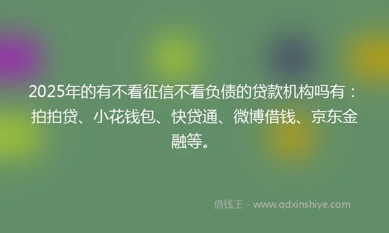 2025年的有不看征信不看负债的贷款机构吗有：拍拍贷、小花钱包、快贷通、微博借钱、京东金融等。