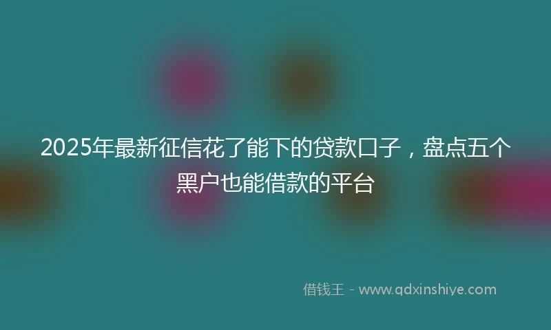 2025年最新征信花了能下的贷款口子，盘点五个黑户也能借款的平台