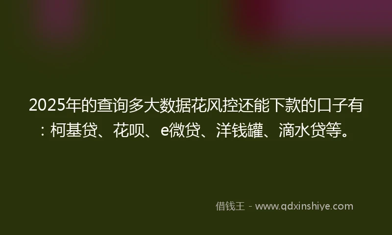 2025年的查询多大数据花风控还能下款的口子有：柯基贷、花呗、e微贷、洋钱罐、滴水贷等。