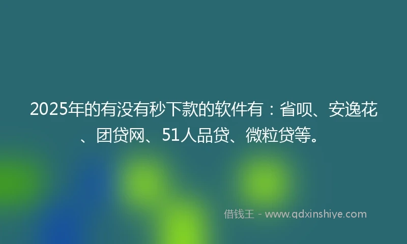 2025年的有没有秒下款的软件有：省呗、安逸花、团贷网、51人品贷、微粒贷等。