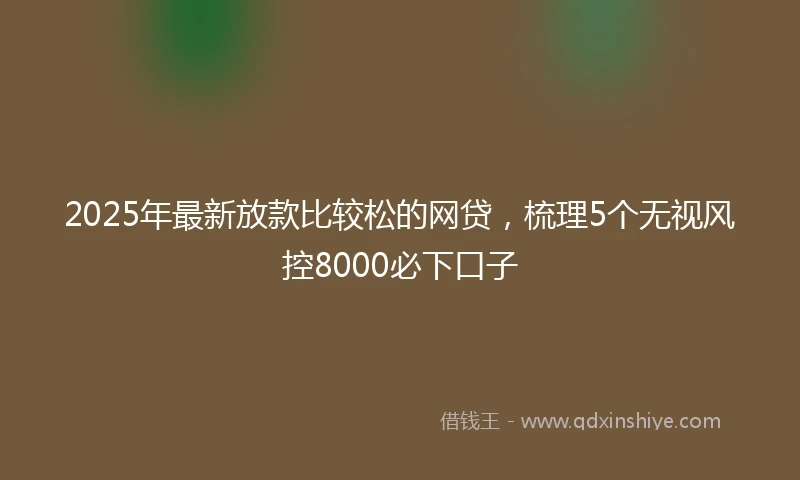 2025年最新放款比较松的网贷，梳理5个无视风控8000必下口子