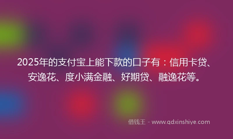 2025年的支付宝上能下款的口子有：信用卡贷、安逸花、度小满金融、好期贷、融逸花等。