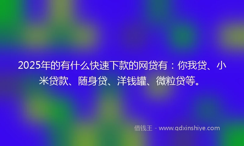 2025年的有什么快速下款的网贷有：你我贷、小米贷款、随身贷、洋钱罐、微粒贷等。